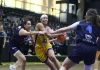 WBL: Υποδέχεται τον Άρη ο ΠΑΟΚ, εκτός οι «αιώνιοι», αναλυτικά το πρόγραμμα